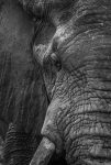 Bezeichnung: SAF_8766 Format: 20x30 cm