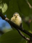 Bezeichnung: NAM_5700 Format: 30x20 cm 
