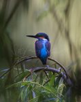 SAF_8113 Format: 20x30 cm 