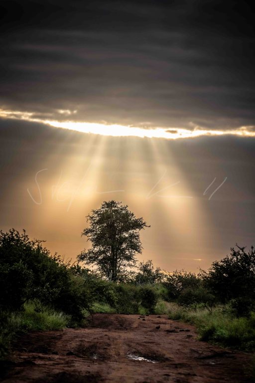 RAJ_6178